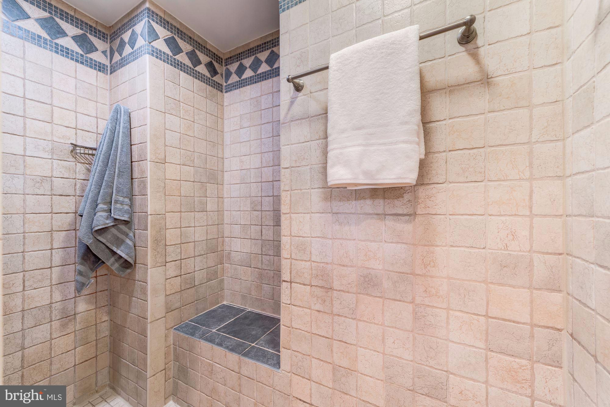 6011 Queenston Street Springfield, VA 22152 - Photo 26 of 57 Enormous Master shower remodel with bench seat