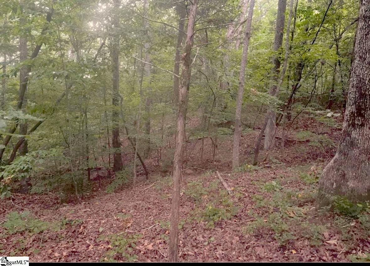 6945 Indian Mound Road Waterloo, SC 29384 - Photo 1 of 9