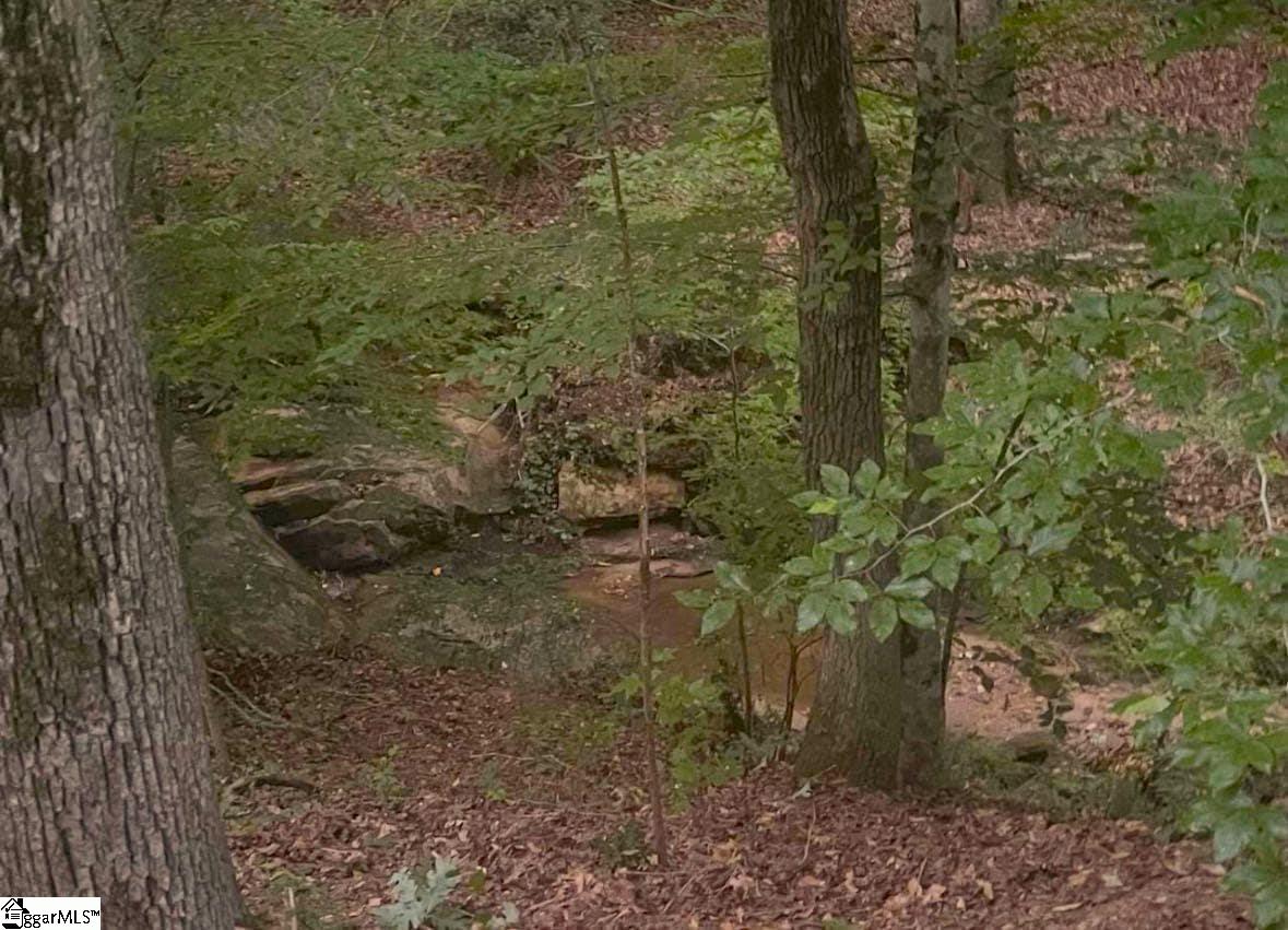 6945 Indian Mound Road Waterloo, SC 29384 - Photo 2 of 9