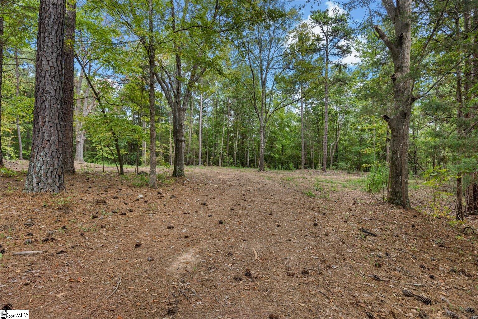 6945 Indian Mound Road Waterloo, SC 29384 - Photo 4 of 9