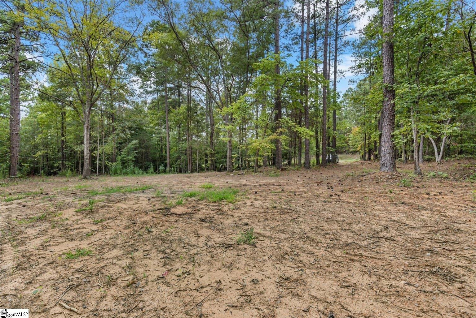 6945 Indian Mound Road Waterloo, SC 29384 - Photo 5 of 9