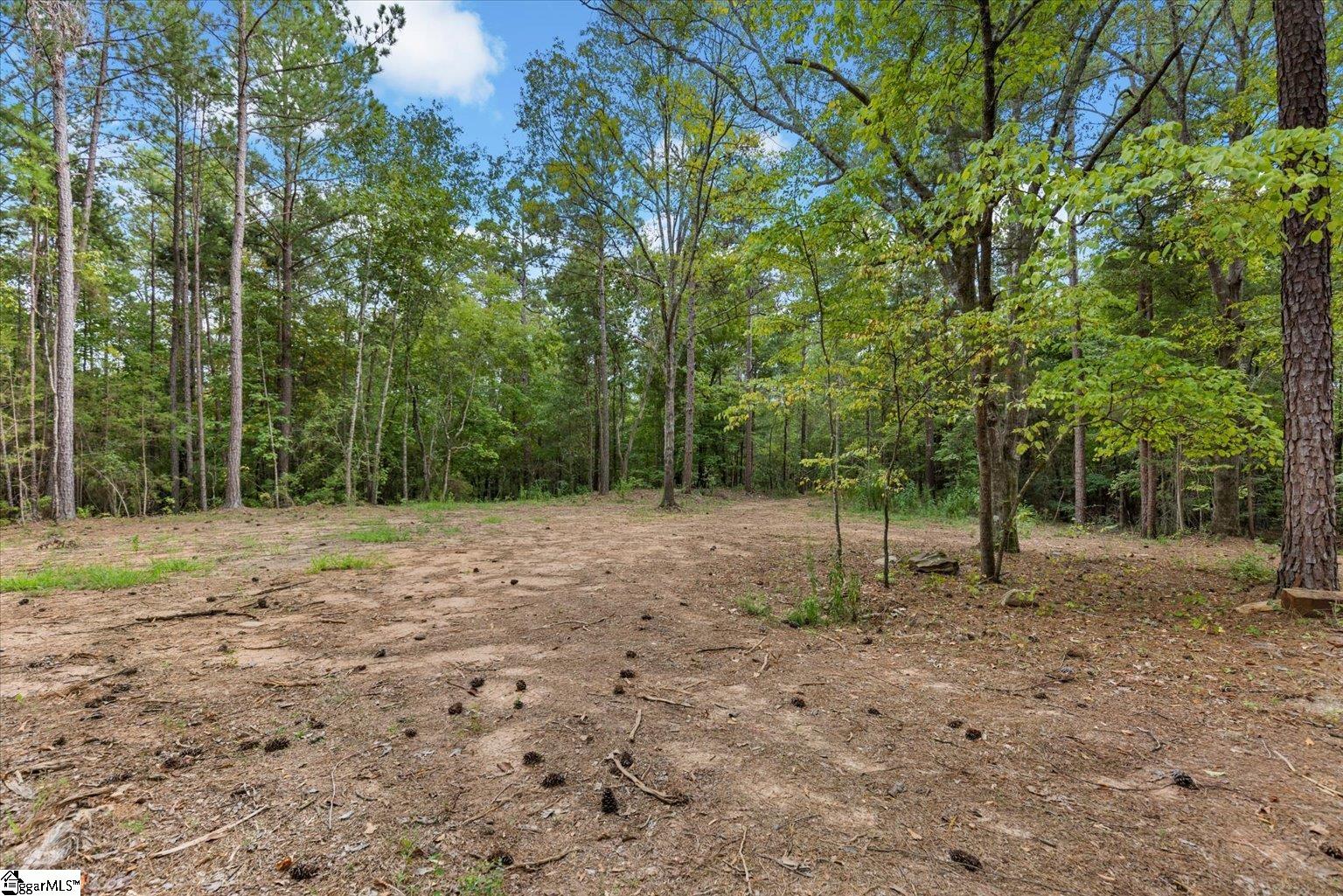 6945 Indian Mound Road Waterloo, SC 29384 - Photo 9 of 9