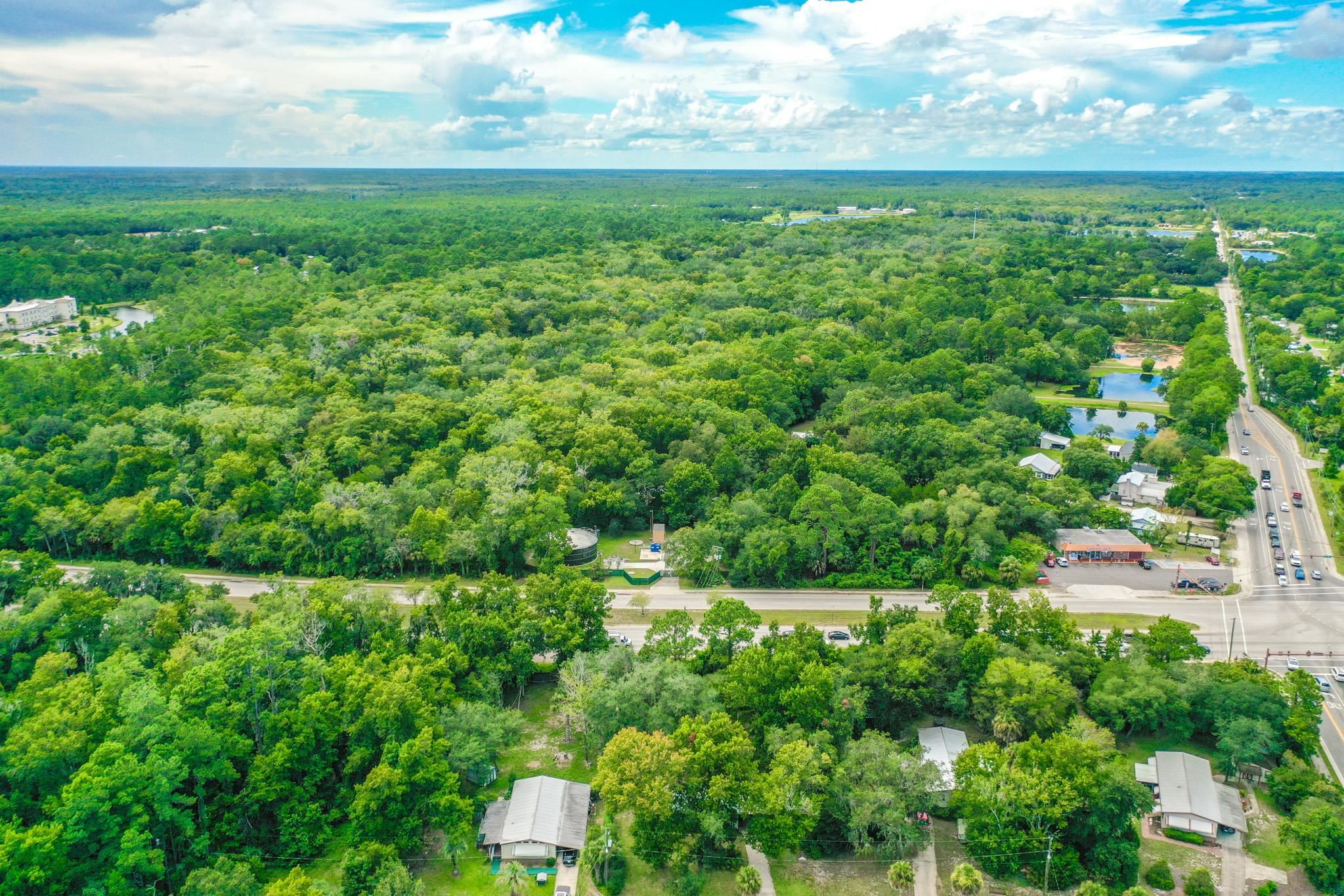 2209 Twin Fox Trail St. Augustine, FL 32086 - Photo 20 of 39 a view of a yard with a tree