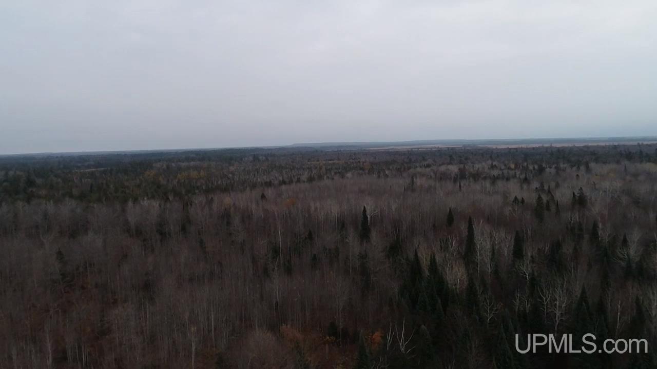 407 Rd Newberry Mi 49868 Road Newberry, MI 49868 - Photo 2 of 5