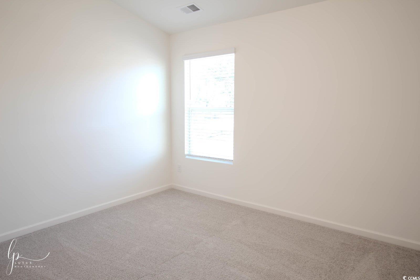 172 Crescent Way Little River, SC 29566 - Photo 12 of 18 Spare room with carpet floors, healthy amount of natural light, and baseboards