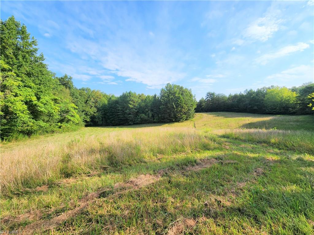 8340 Wall Farm Road Rural Hall, NC 27045 - Photo 18 of 21