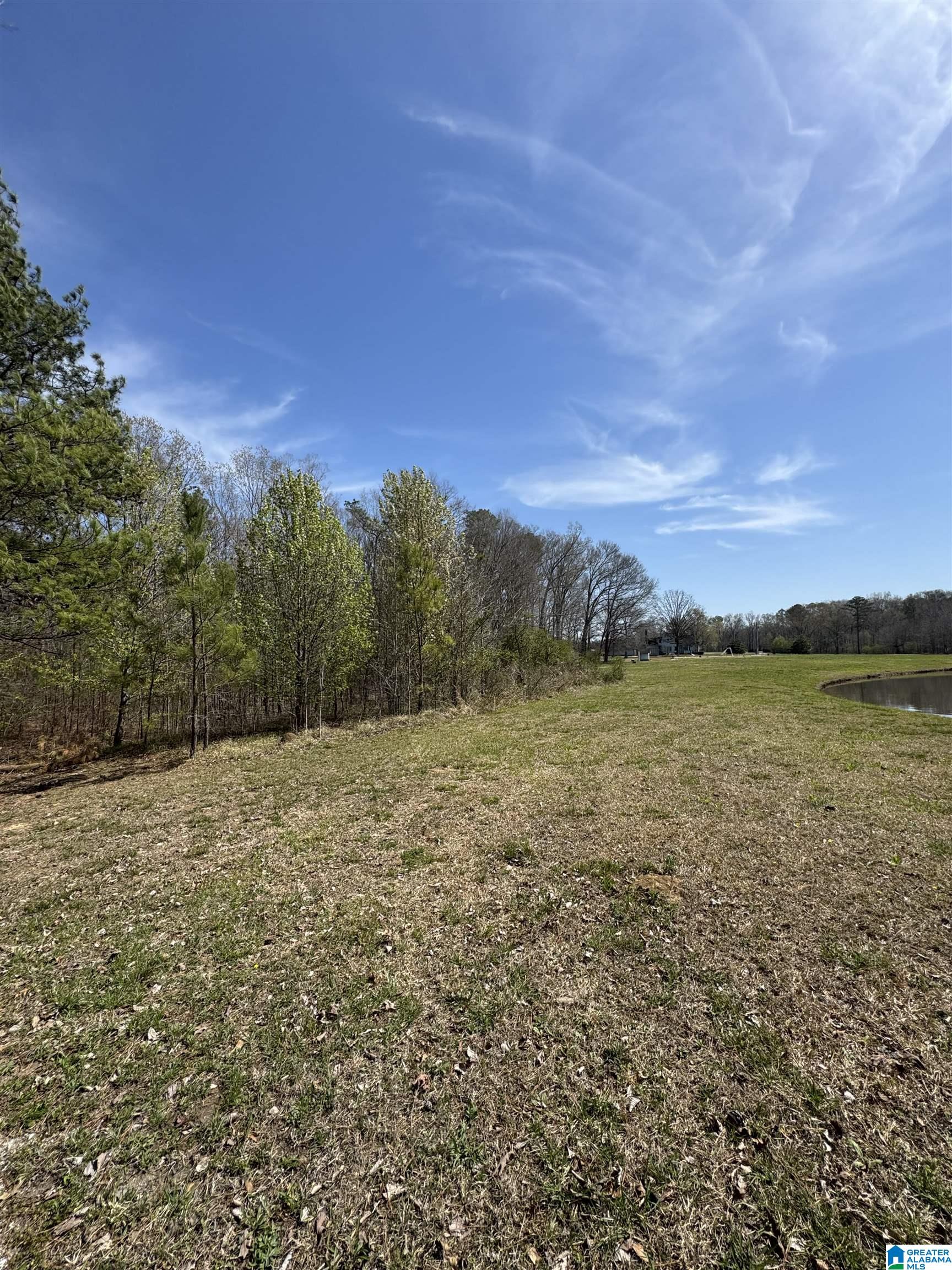 1035 Pleasant Valley Road Rainbow City, AL 35906 - Photo 23 of 25 Gallery Image 23