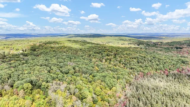 a view of a pathway with a yard