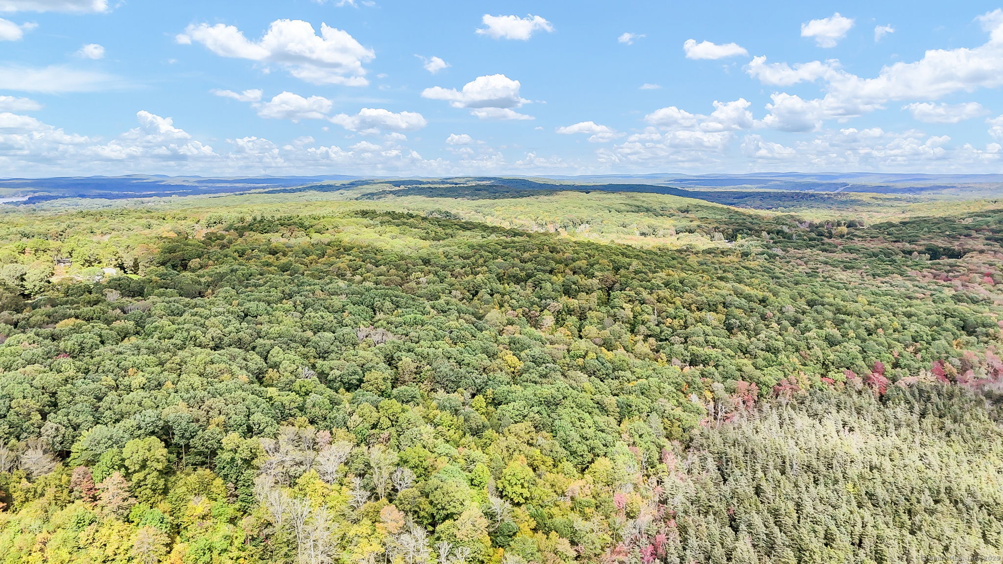 93 Dockerel Road Tolland, CT 06084 - Photo 8 of 12