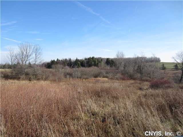 Land. Looking @ triangle-shaped property (see tax