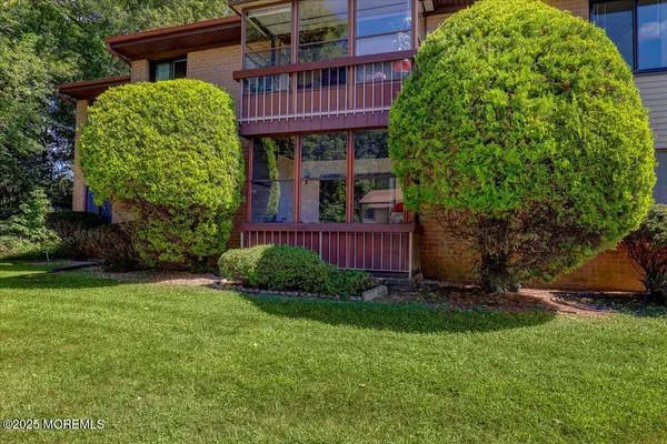 a view of a backyard with plants and large trees
