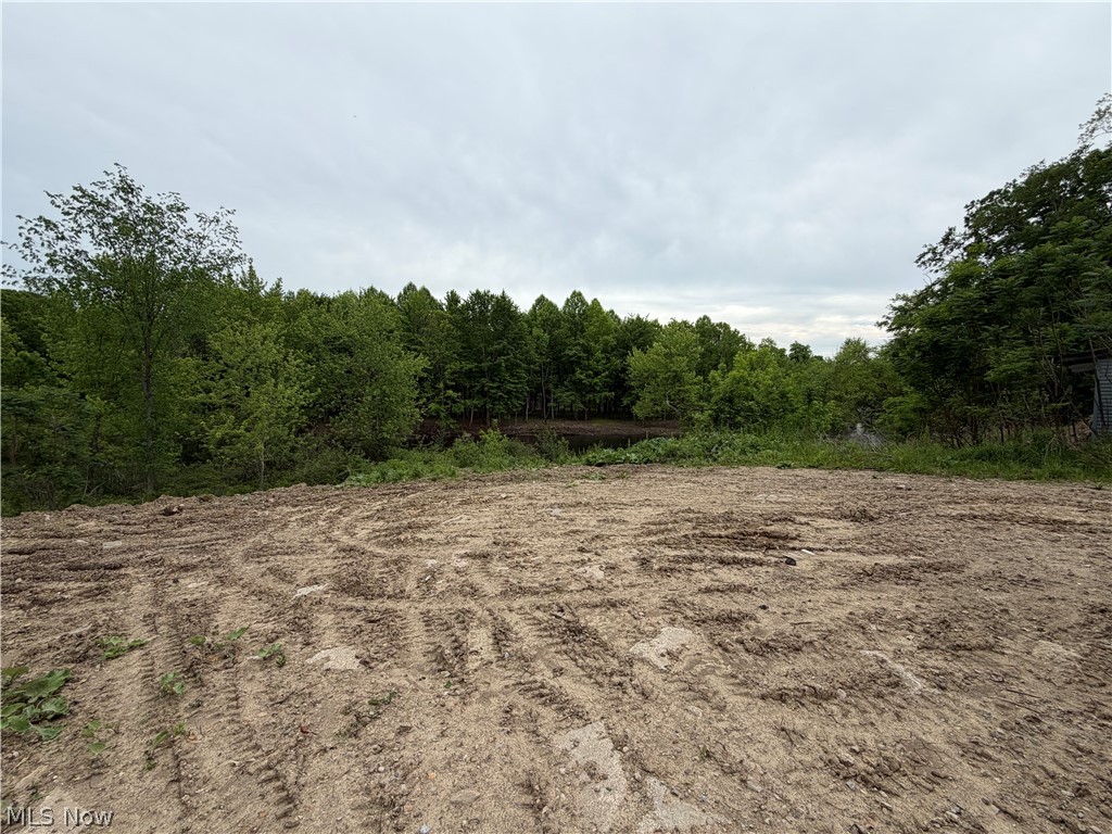 9098 Diagonal Road Streetsboro, OH 44241 - Photo 20 of 25 Cleared land parcel featuring an earthen surface and surrounding dense mature trees
