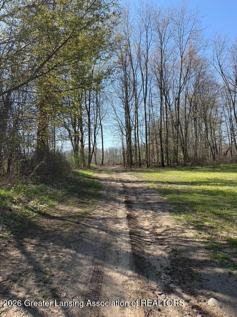 0 27 27 Mile Road Albion, MI 49224 - Photo 3 of 47 2