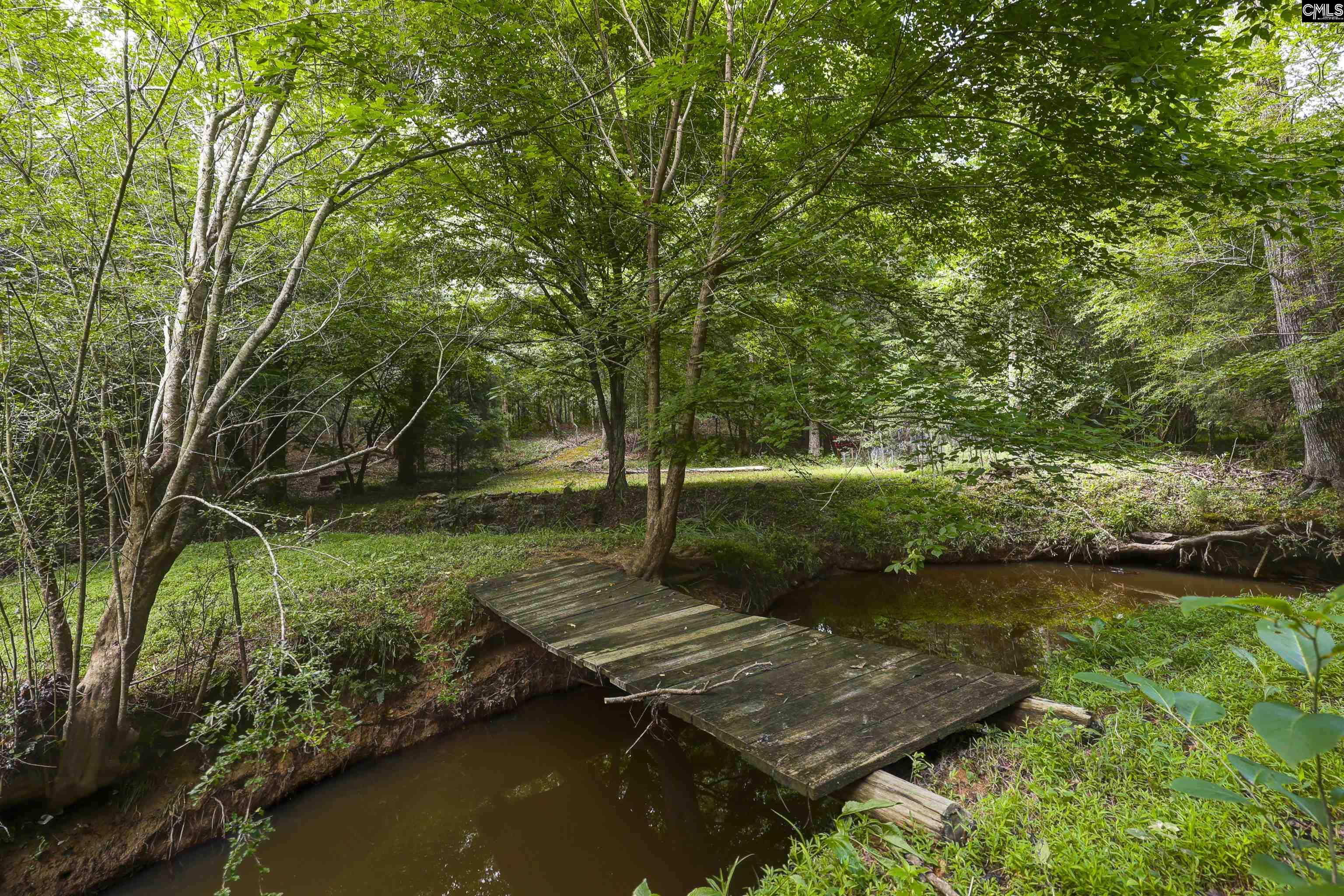 412 Murray Lindler Road Chapin, SC 29036 - Photo 43 of 47