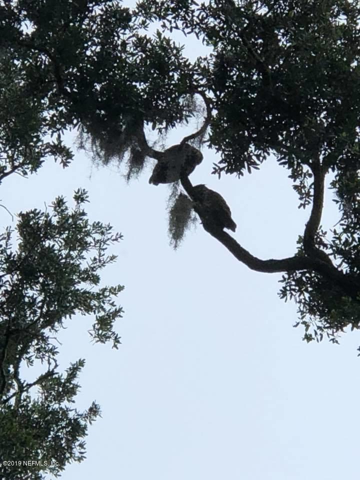 156 North Ridge Drive Fleming Island, FL 32003 - Photo 56 of 59 Owl Couple