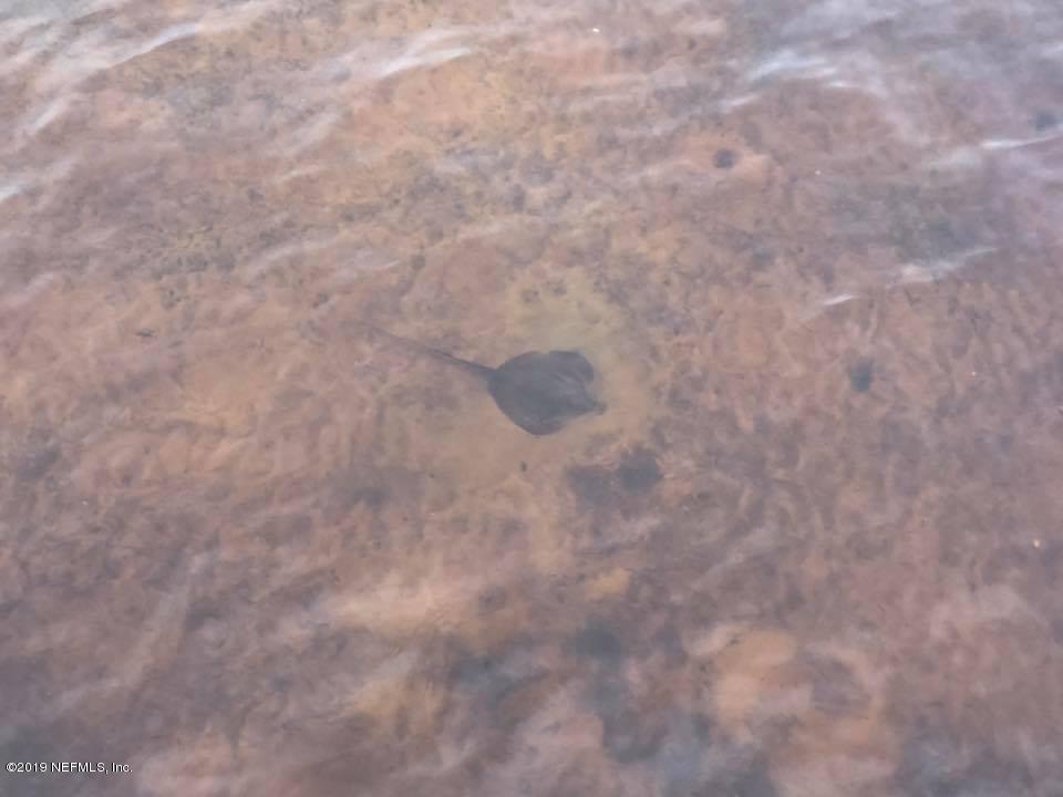 156 North Ridge Drive Fleming Island, FL 32003 - Photo 58 of 59 Sting Ray
