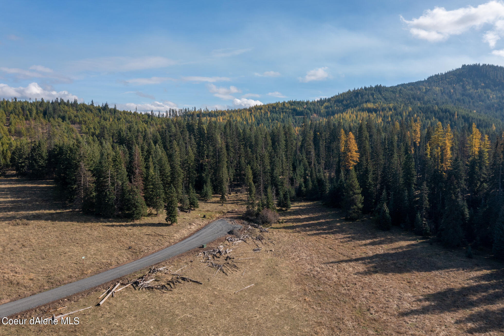 5 Liberty Lane Ranch, Unit TYSON Fernwood, ID 83830 - Photo 1 of 1 DJI_0346