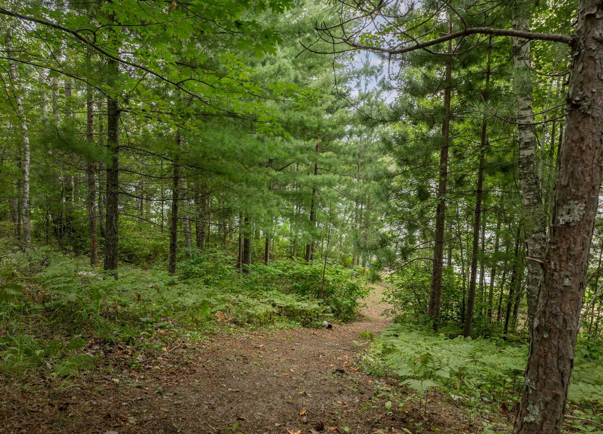 24871 East Long Lake Road Bigfork, MN 56628 - Photo 53 of 58 Gallery Image 53