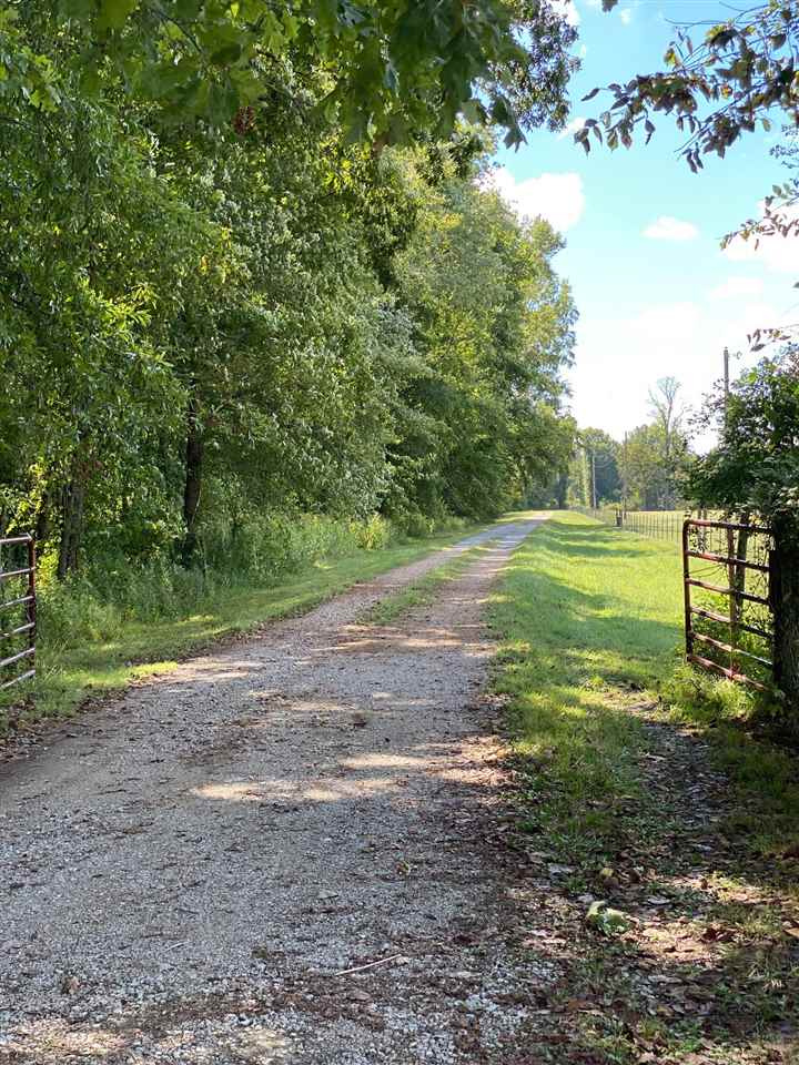 577 South Circle Road Memphis, TN 38127 - Photo 3 of 19 This is the driveway that leads to the house.