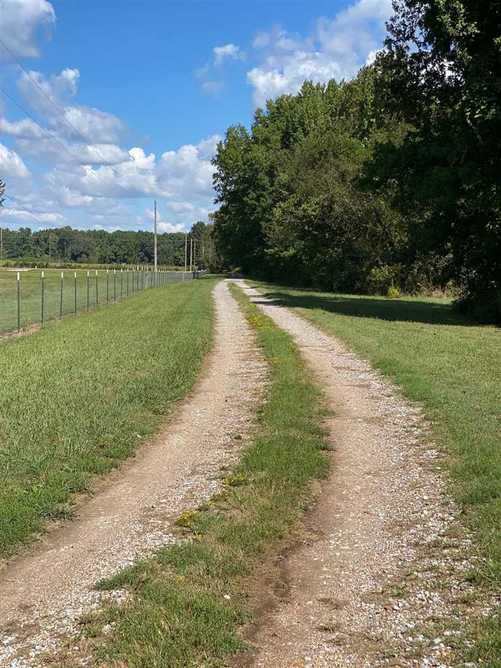 577 South Circle Road Memphis, TN 38127 - Photo 4 of 19 Driveway - looking in the opposite direction (toward E Circle Rd.)