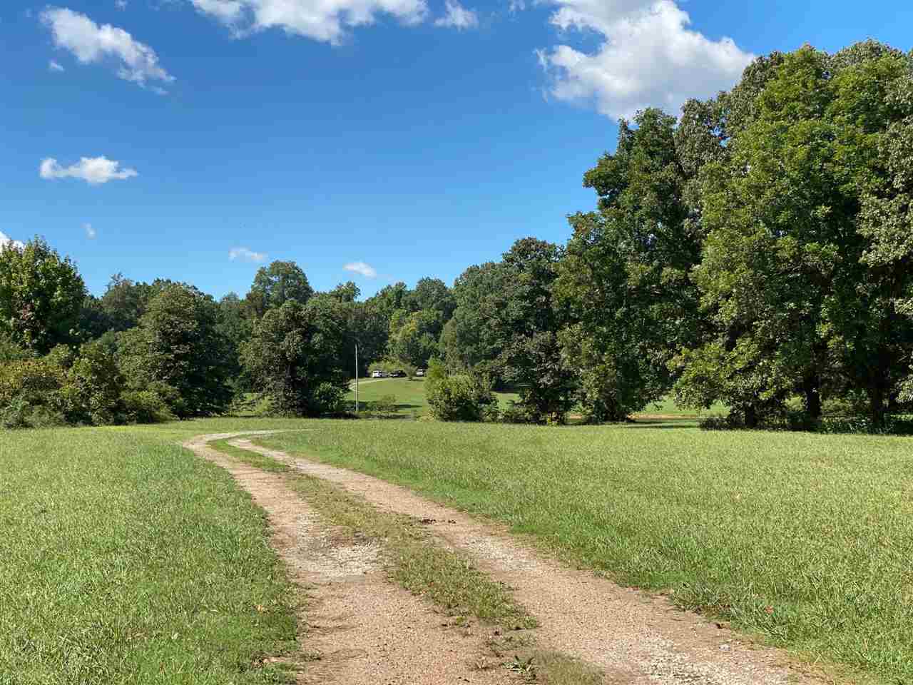 577 South Circle Road Memphis, TN 38127 - Photo 5 of 19 Such beautiful scenery on the way to the house (which sits at the top of the hill.)