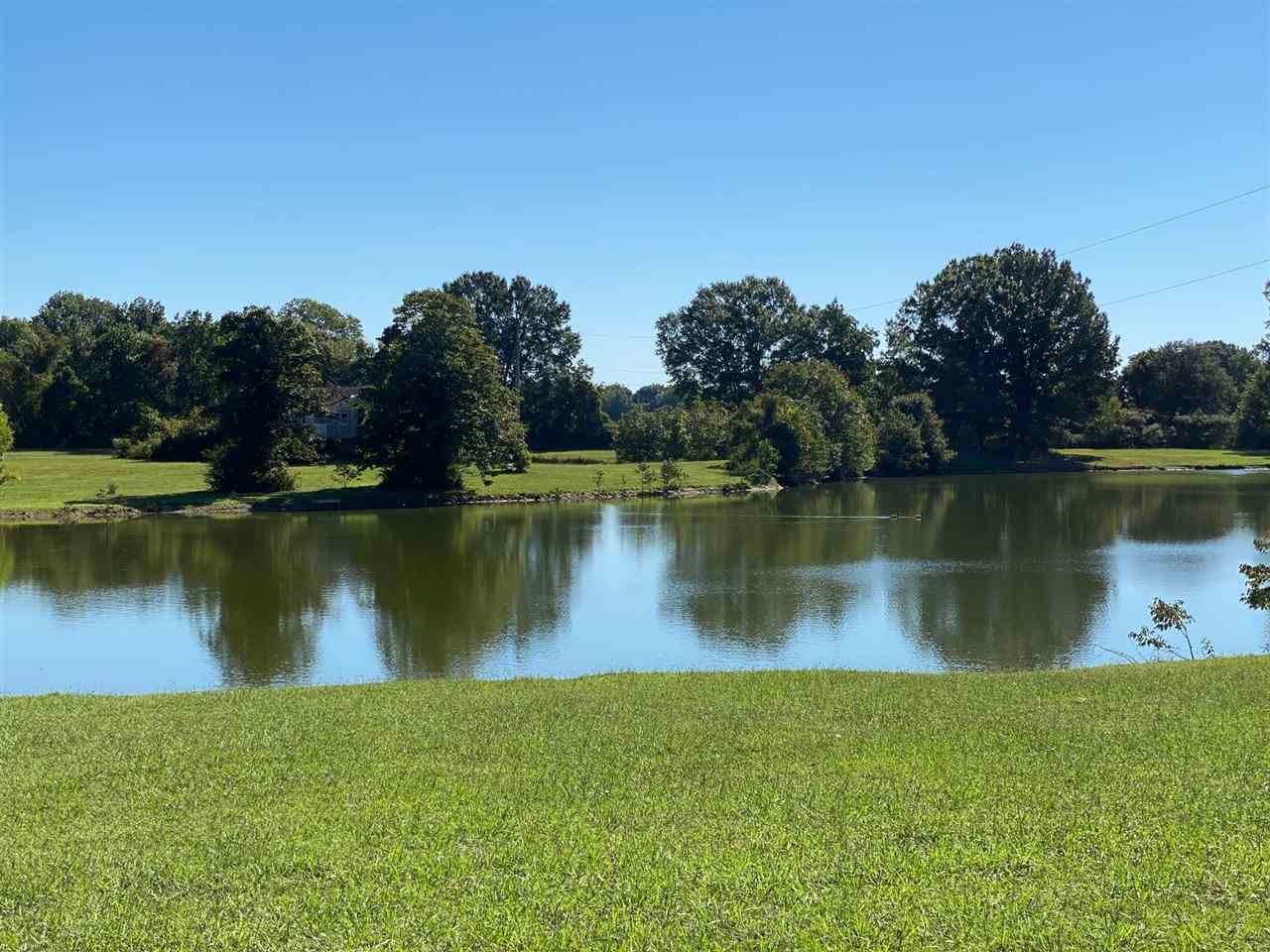 577 South Circle Road Memphis, TN 38127 - Photo 7 of 19 Not only is there this beautiful lake (notice the geese swimming) on the property, but there is a small pond, as well.