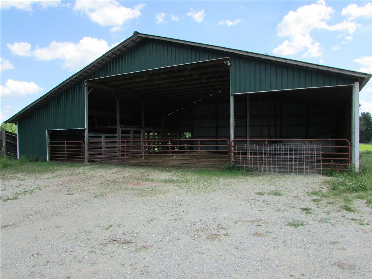 0 Ridley Chapel Road Reagan, TN 38368 - Photo 14 of 22