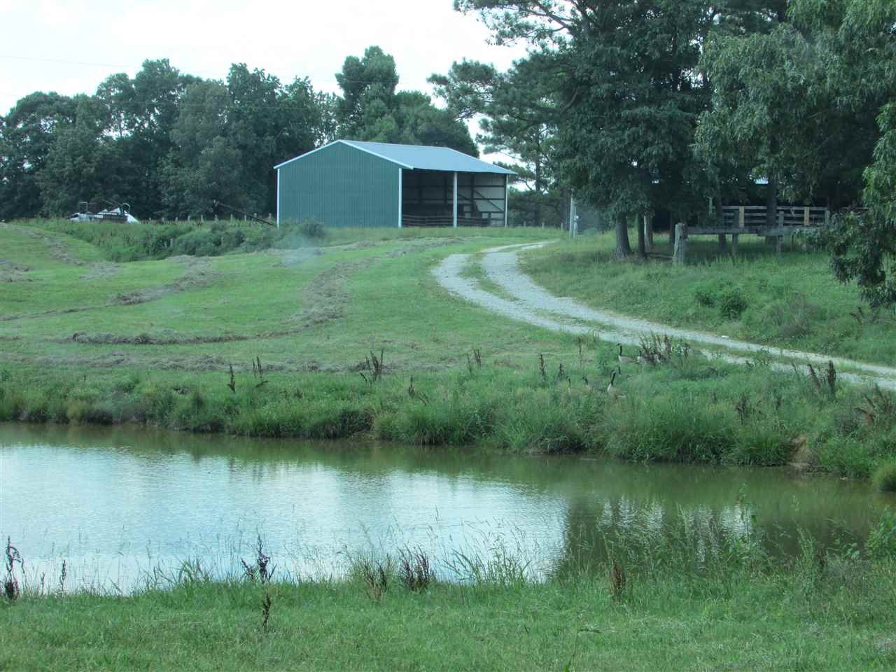 0 Ridley Chapel Road Reagan, TN 38368 - Photo 3 of 22