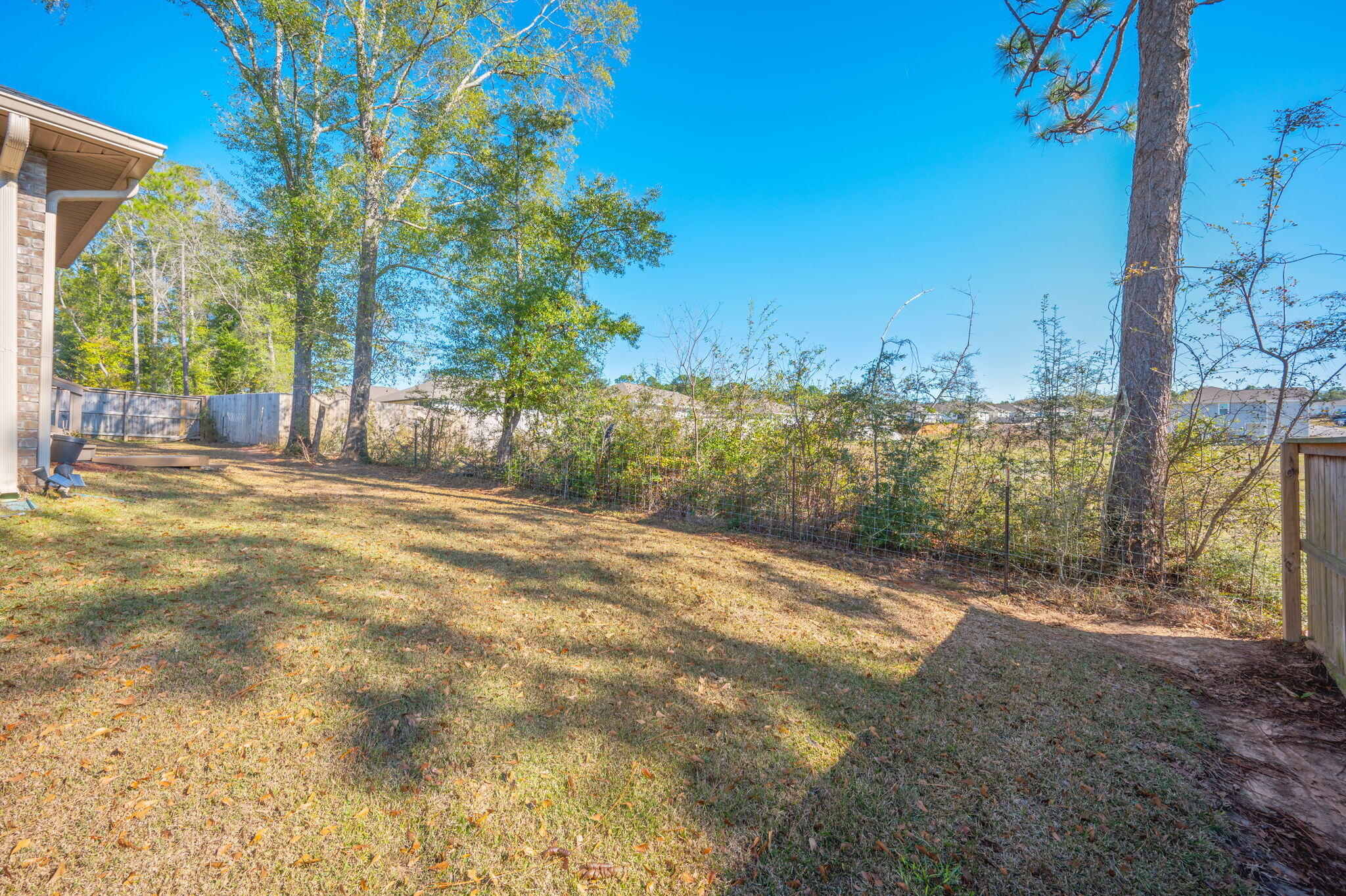 2191 Jernigan Drive Crestview, FL 32536 - Photo 42 of 42 a view of a yard with a tree