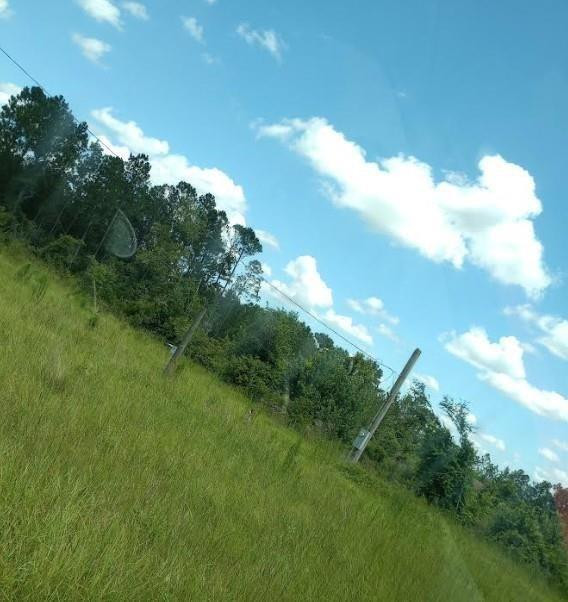 0 Rocky Road Baxley, GA 31513 - Photo 3 of 4