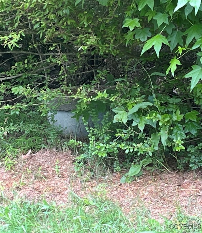 4310 Mt Sinai Road Prince George, VA 23875 - Photo 5 of 5 View of covered septic