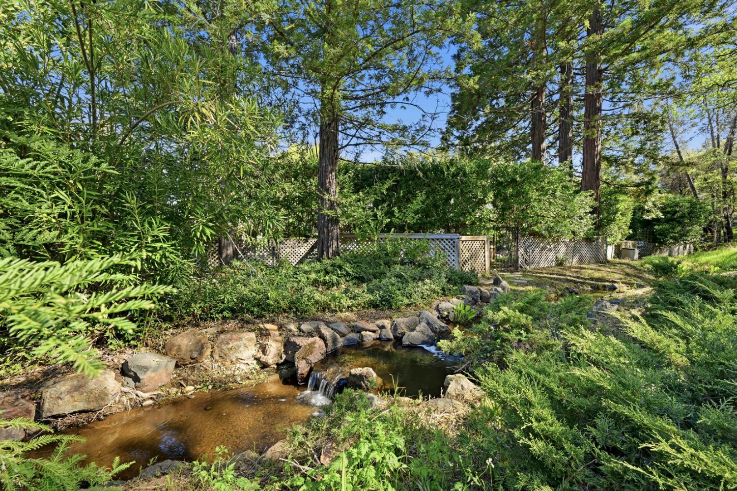 8860 Auburn Valley Road Auburn, CA 95602 - Photo 40 of 46 a picture of trees