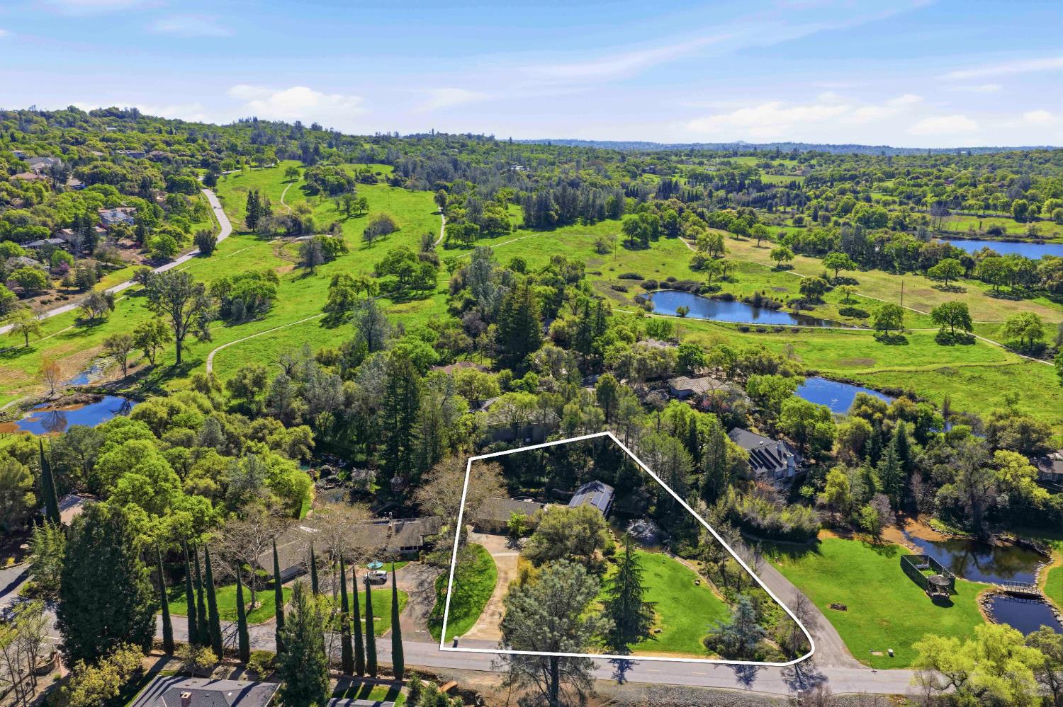 8860 Auburn Valley Road Auburn, CA 95602 - Photo 4 of 46 a view of a yard with plants