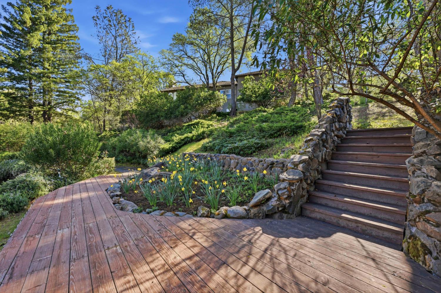 8860 Auburn Valley Road Auburn, CA 95602 - Photo 41 of 46 a wooden bench with trees in the background