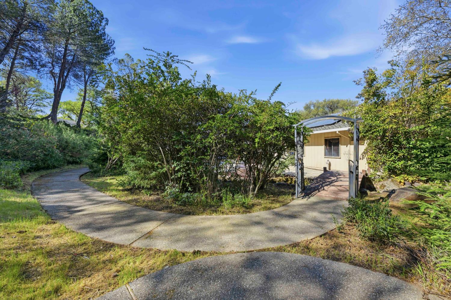 8860 Auburn Valley Road Auburn, CA 95602 - Photo 45 of 46 a view of house with trees in the background