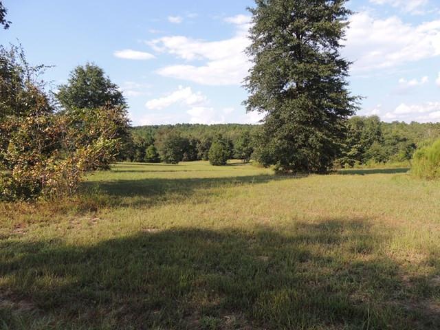 0 Deer Stand Road Wagener, SC 29164 - Photo 7 of 7