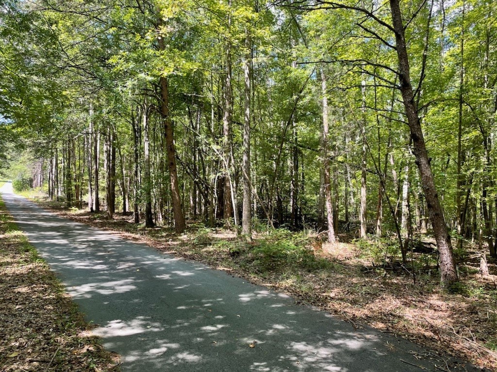 3.16-acres Matthew Road Pickens, SC 29671 - Photo 1 of 5