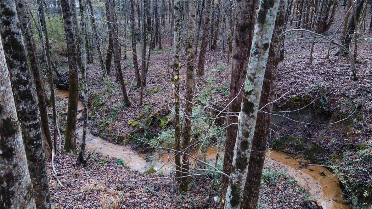 3.16-acres Matthew Road Pickens, SC 29671 - Photo 3 of 5
