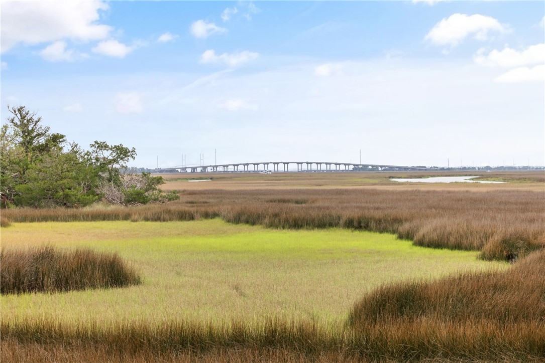 105 Hawkins Island Circle St. Simons Island, GA 31522 - Photo 3 of 47