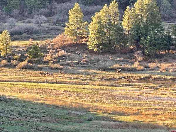 $175,000 | 331 Spring Creek Circle, Chromo, CO 81128
