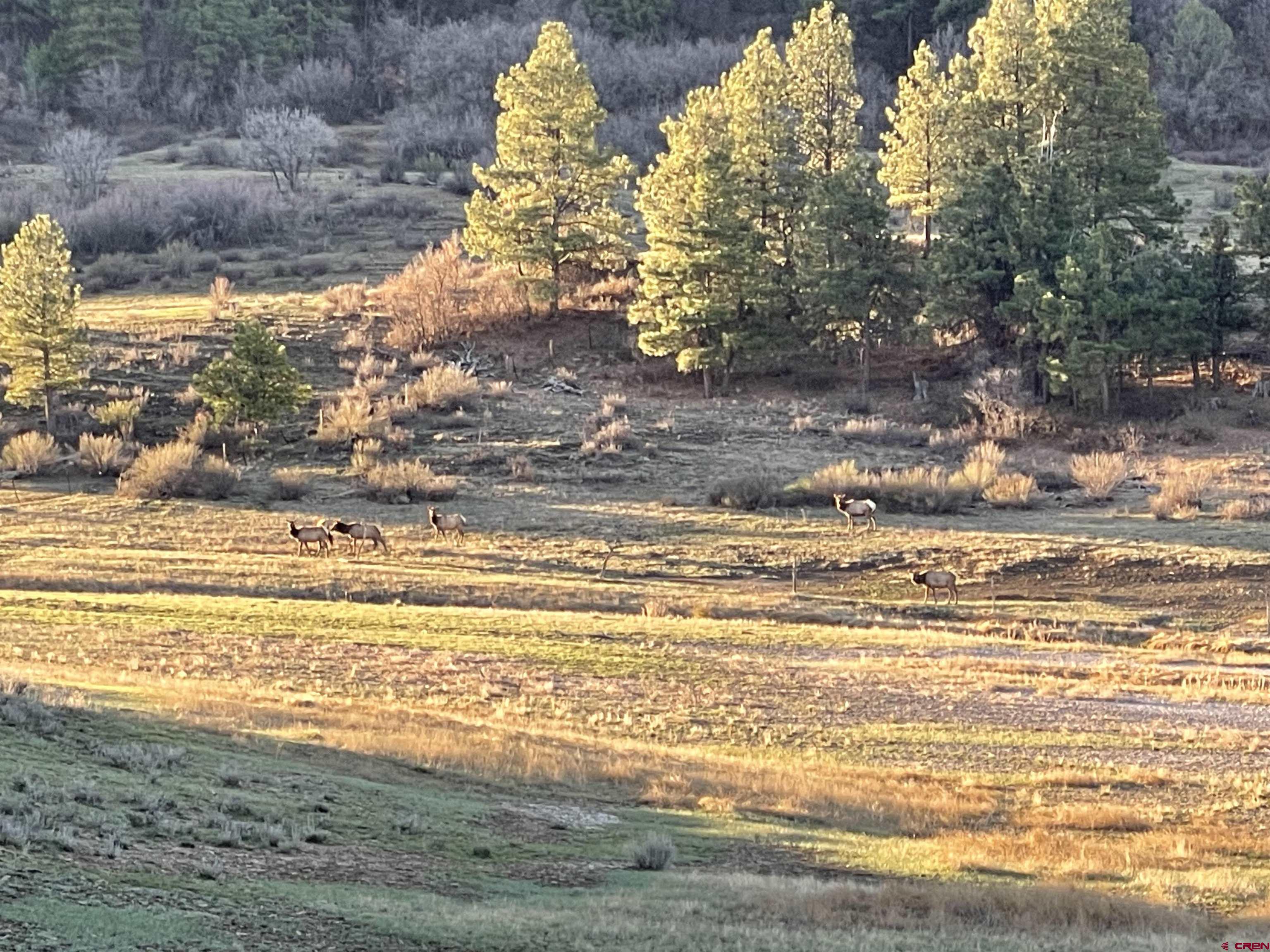 331 Spring Creek Circle Chromo, CO 81128 - Photo 12 of 14 a view of ocean view