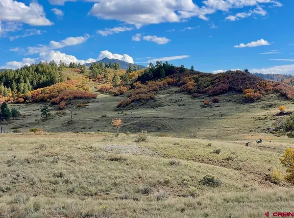 $175,000 | 331 Spring Creek Circle, Chromo, CO 81128