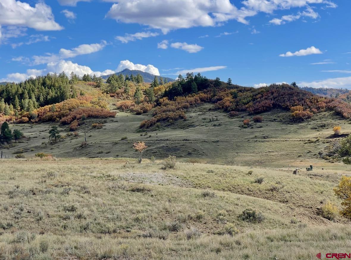 331 Spring Creek Circle Chromo, CO 81128 - Photo 6 of 14 a view of a dry yard with wooden fence