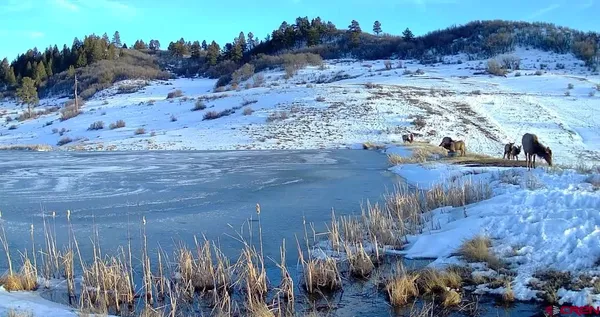 $175,000 | 331 Spring Creek Circle, Chromo, CO 81128