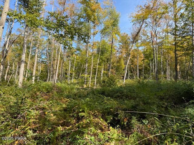 Fairmont Road Road Starrucca, PA 18462 - Photo 9 of 18