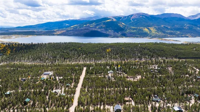 a view of a yard with plants and trees