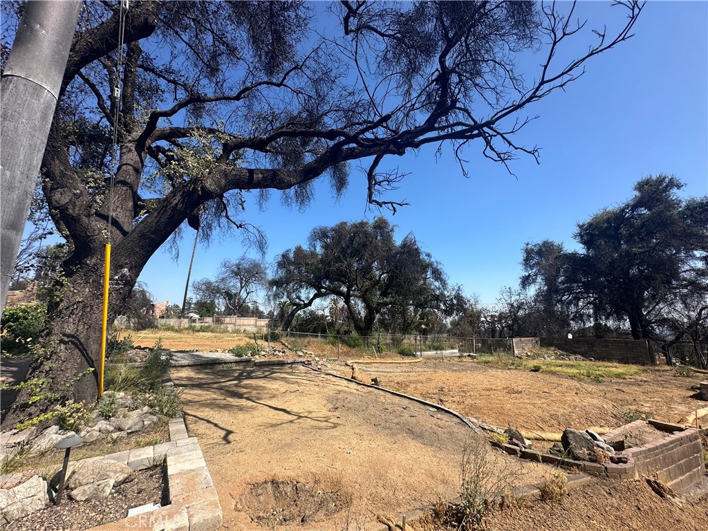 388 East Pentagon Street Altadena, CA 91001 - Photo 4 of 7 a view of a yard with snow on the road