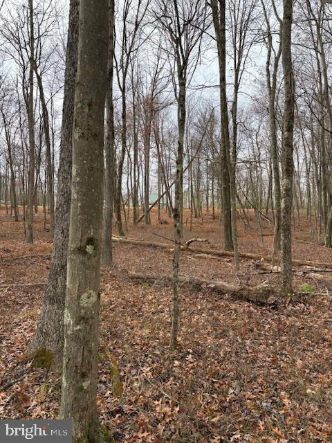 123 Rock Ridge Road Bellefonte, PA 16823 - Photo 19 of 24 a backyard of a house with lots of green space