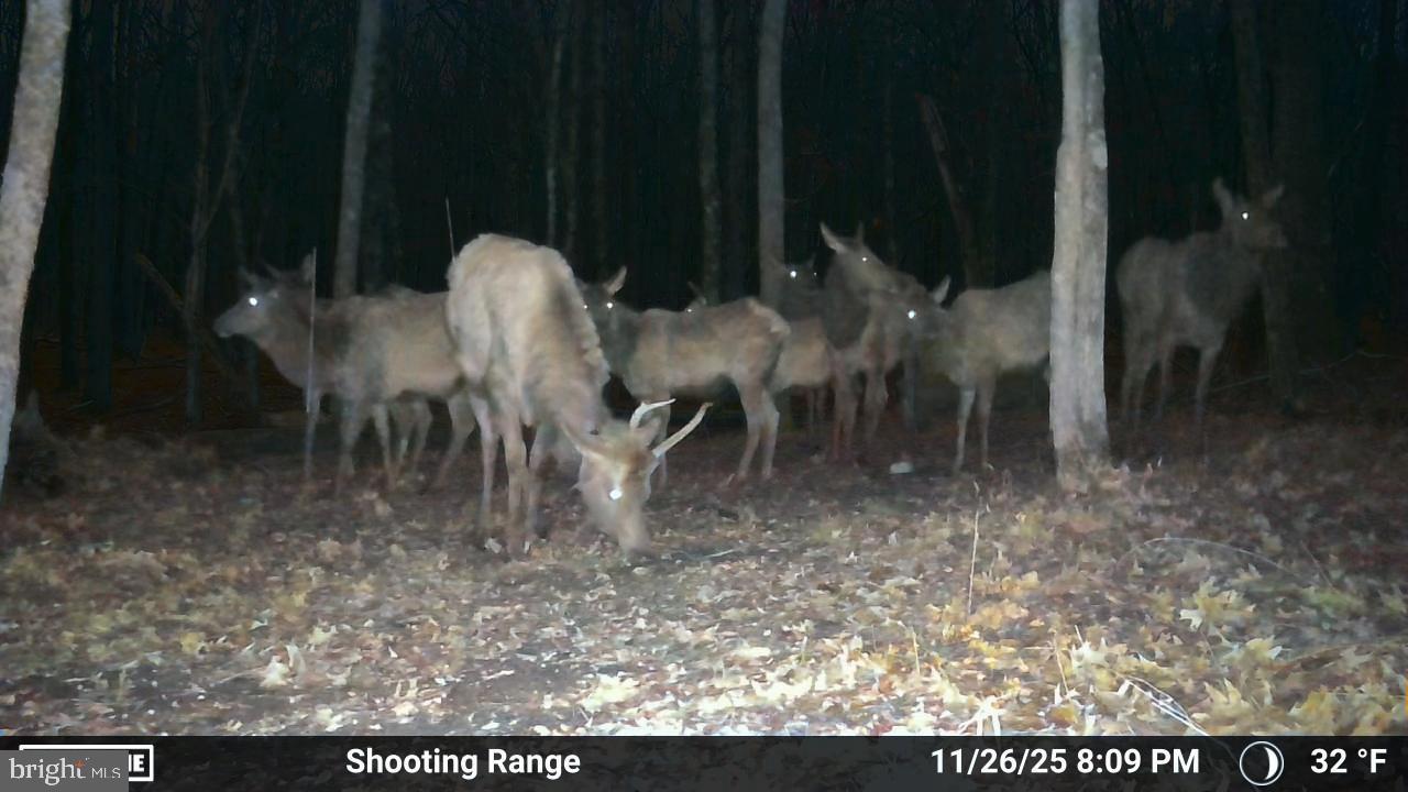 123 Rock Ridge Road Bellefonte, PA 16823 - Photo 23 of 24 Elk