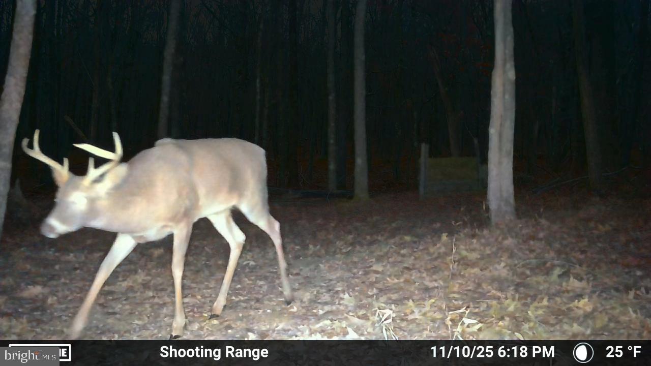 123 Rock Ridge Road Bellefonte, PA 16823 - Photo 24 of 24 Buck